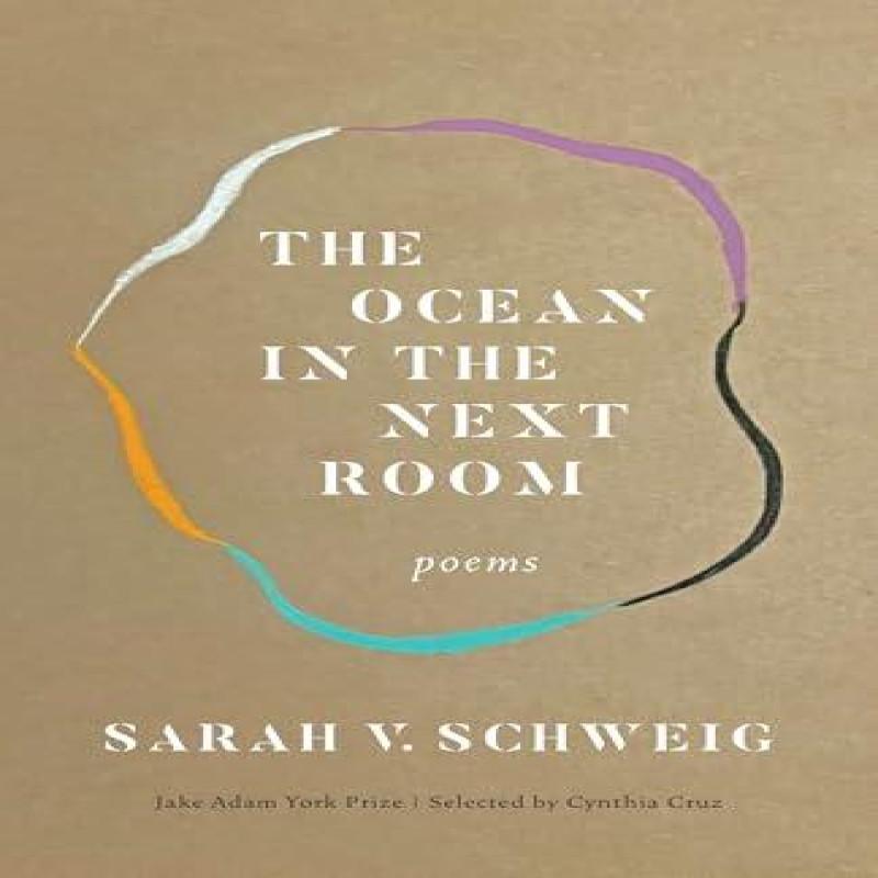 The Ocean in the Next Room by Sarah V. Schweig Paperback Book 9781571315632