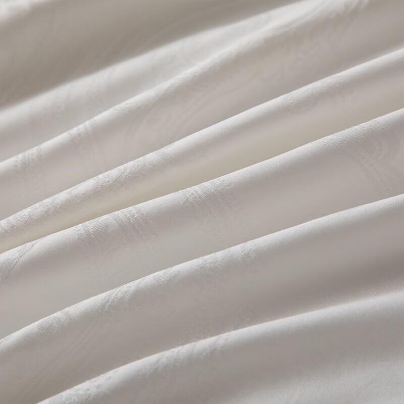 Faunen Cloud Brocade Pure Mulberry Silk Quilt