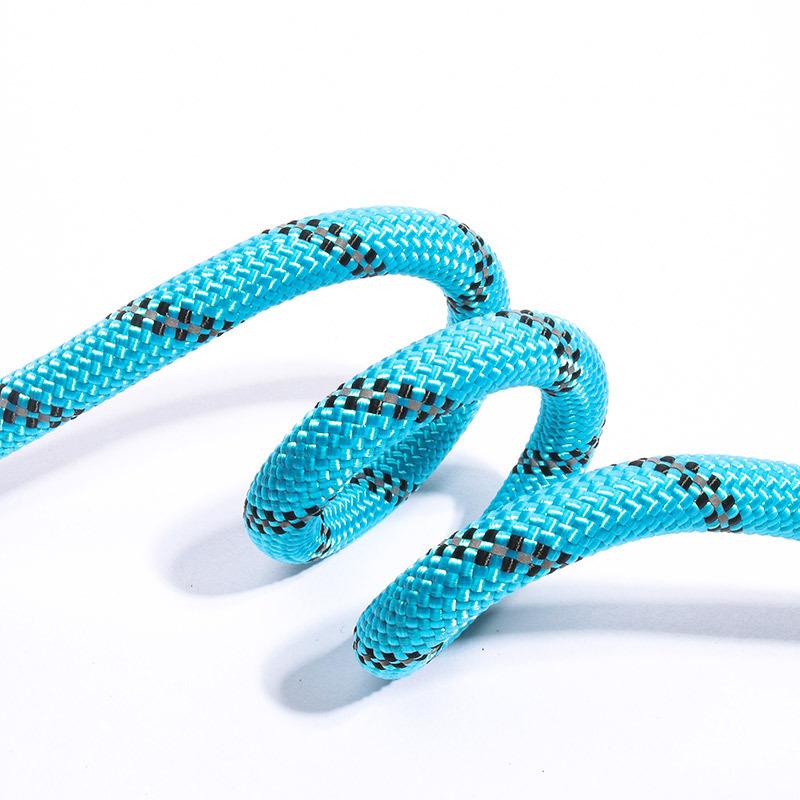 Reflective explosion-proof integrated P rope P chain pet leash dog leash walking dog rope racing rope for dog training