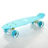 Hengshilong Kids Penny Skateboard with Light-Up Wheels