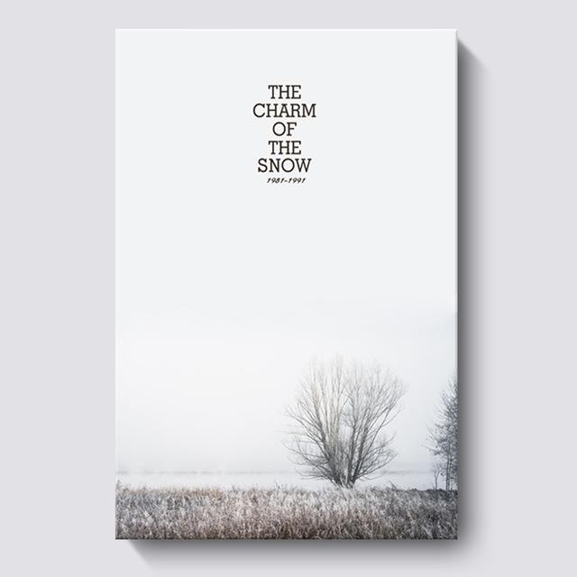 

Скандинавский стиль, снежный город, пейзаж, холст, картины, постеры и принты, белый минимализм для гостиной, домашние декоративные фотографии 21*30cm