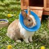 Coleira Anti-Lambedura Ajustável Coleira Protetora Anti-Mordida para Pássaro Hamster Coelho