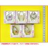 MINI CHARM COLLECTION4 ALL STARS All 5 Types Sold As a Box of PRECURE [Complete Set] Not 10.