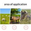 200m Roll Electric Fence Rope with Steel Poly Rope for Horse Animal Fencing,Ultra Low Resistance Wire with Insulator Suit Tool
