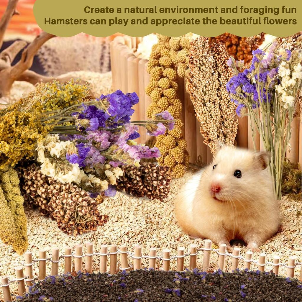 Sukh Natural Hamster Bedding Sprays - Foraging Habitat Decor Cage Accessories, Hideout Enrichment for Dwarf & Syrian Hamsters, Gerbils, Mice and