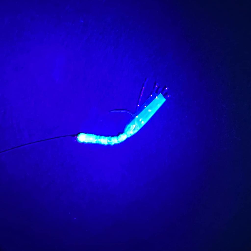 Hayabusa HS303 Small Horse Mackerel Specialty Twisted Chameleon Rainbow, 6 Hooks, 5-0.8mm