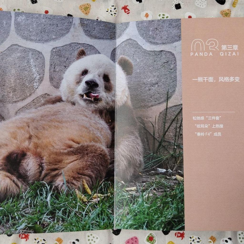 [USED] A rare item! The sixth book in the Panda series, "Seven Pandas