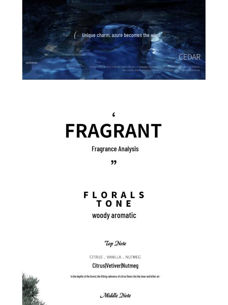 Small Town Yika Azure Men's Perfume 100ml - Long-lasting Fresh Eau de Toilette, Charming Sport.