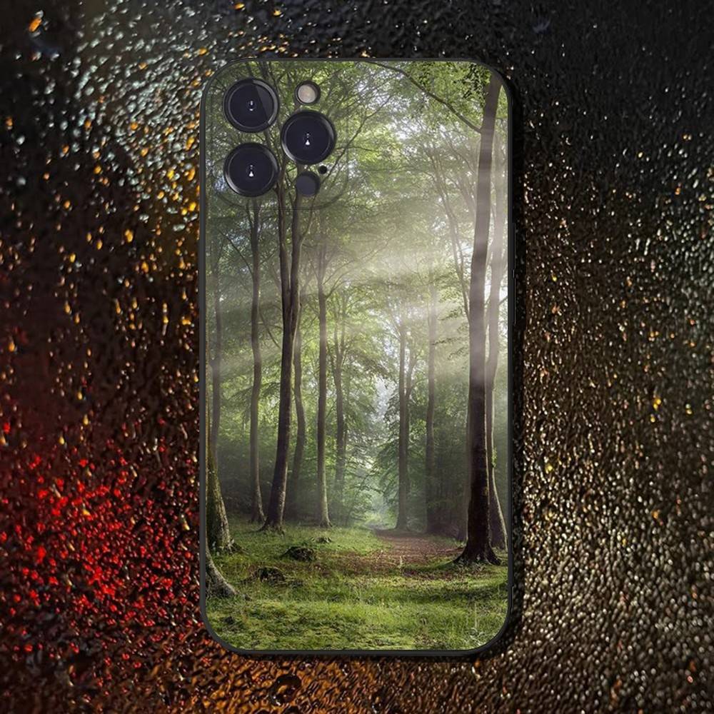 

Forest Landscape Phone Case For iPhone 16,15,14,13,12,11 Plus,Pro Max,XS,X,XR,SE,Mini,8,7,Soft Silicone Black Cover iPhone11PRO