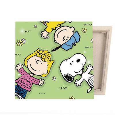 I Love Painting Peanuts DIY CUBIC PAINTING 2525cm, Field Snoopy, 1 κομμάτι Κορεάτικα δημοφιλή παιχνίδια