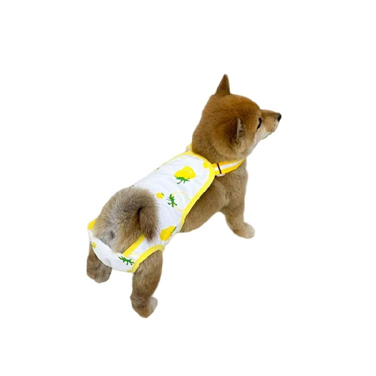 Cotton Dog Period Underwear For Female Pet Easy To Clean And Odor Control
