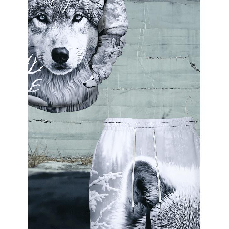 Winter Snowfield Gray Wolf Theme 3D Printed Hoodie And Long Pants 2pcs Set, with Polar Wilderness Elements And Cool Texture