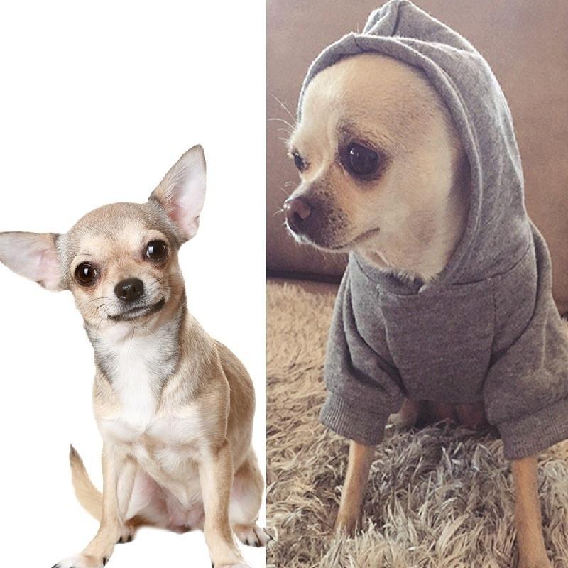 Security Pet Clothes for Small Dogs Warm Coat Jacket Spring Dog Hoodie