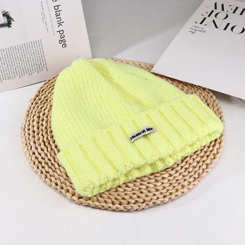 Women's Autumn and Winter New Big Head Circumference Warm Knitted Hat Korean Style Student Face Small Ear Protection Cold Hat Pile Hat