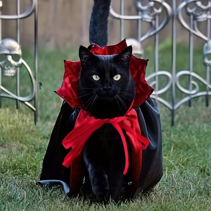 1/3 ks Halloweenský kostým kočky Pláštík s límcem Vampírské oblečení pro mazlíčky Celoroční nošení Slavnostní párty doplněk pro kočky a malé psy