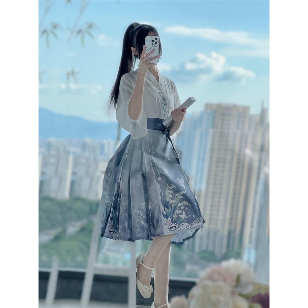 Chinese Song Dynasty Style Hanfu For Women Pleated Skirt Daily Set Spring And Autumn