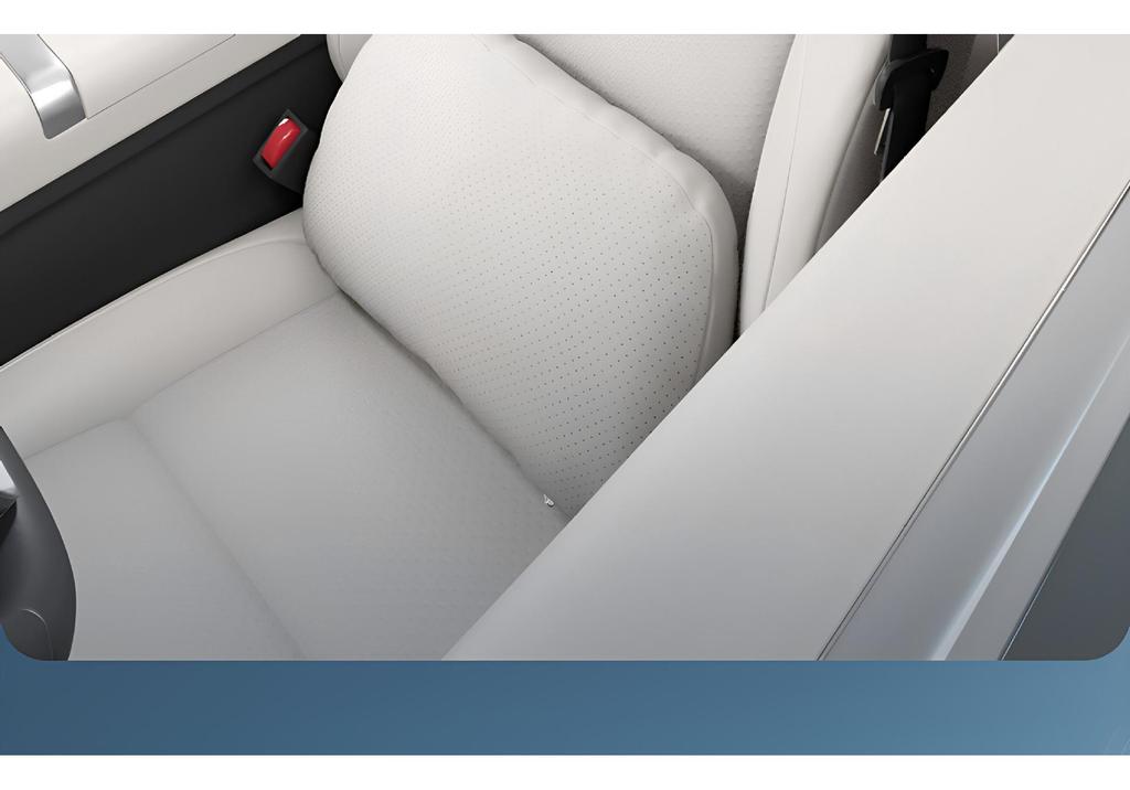 Sea Lion 05 Car Headrest & Lumbar Support: All-Season Neck Pillow for 26 Models - Practical Interior Accessory