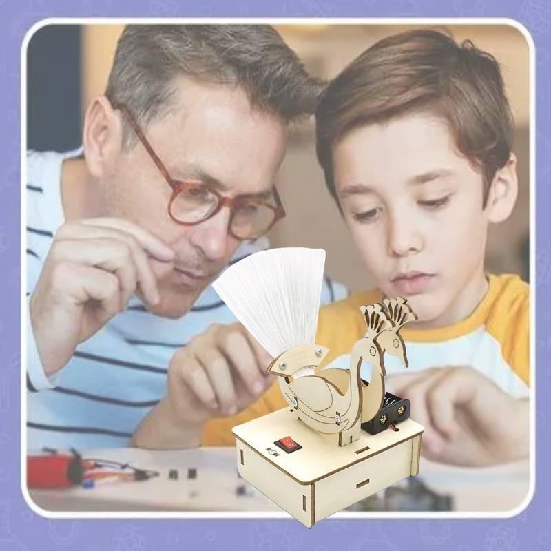 Peacock Opening Diy Science Experiment Wooden Material Customizable Handmade Toy