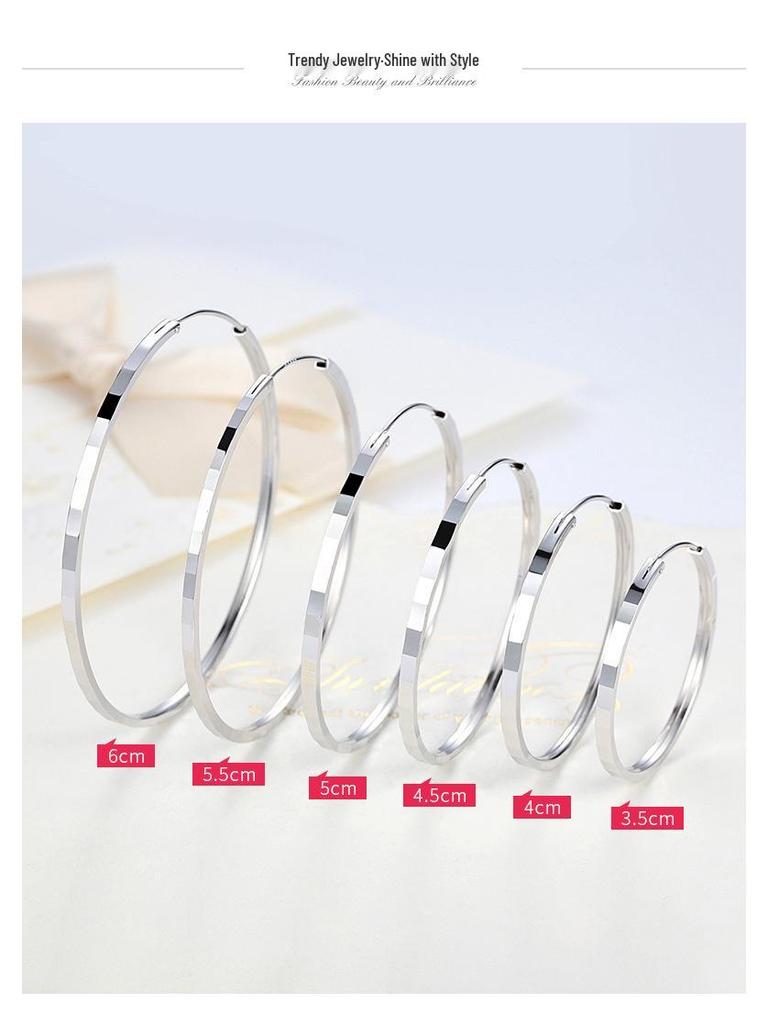 Sterling Silver Big Hoop Earrings for Women - High-End Fashion Circle Dangle Style