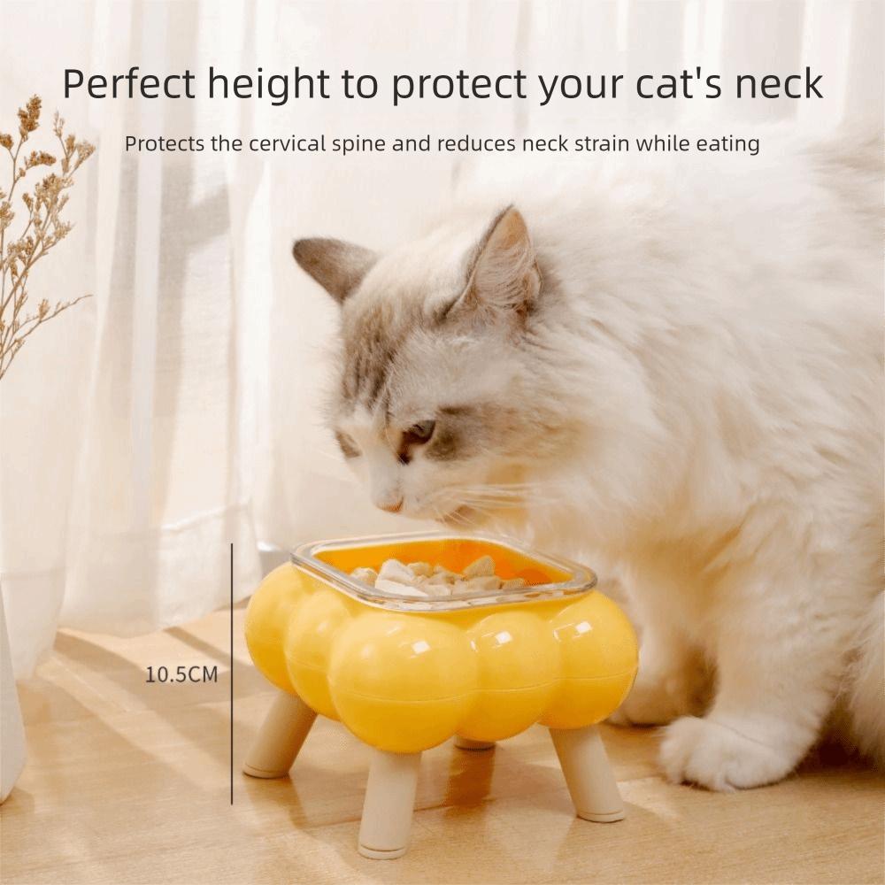 Anti Vomiting Pet High Footed Bowl Anti Slip Dog Feeding Station  Dog Accessories