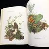 [USED] Michiko Kobayashi Art Collection "Mushrooms" 1993 First Edition Yama-to-Keikoku-sha