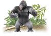 Takara Tomy Ania Gorilla Animal Dinosaur Toy Ages AS-36 (Wild Ver.) 3+