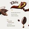 Dove Dianqu Chocolate Gift Box