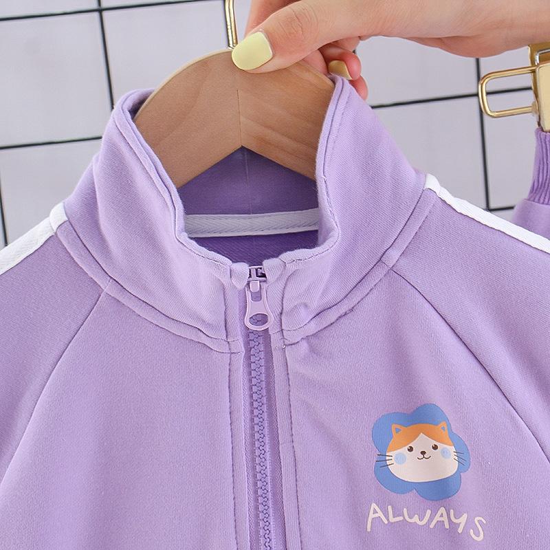 1-7Year Child Girl Clothes Sport Suit Casual Kid Outfit Fall Long Sleeve Zipper Sweatshirt Pant 2Pcs Set Baby Boy Tracksuit