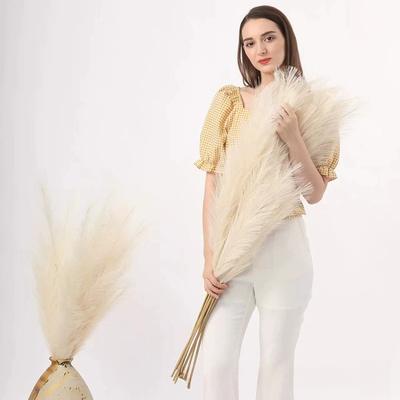 5 τεμάχια Extra Μεγάλο Στέλεχος Φοίνικα Pampas 120cm Τεχνητό Μετάξι Λουλούδι Αφράτο Ψεύτικο Καλάμι Boho Διακόσμηση Σπιτιού Γάμου