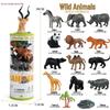 Mini Animal Growth Cycle Toys: Butterfly, Rooster, Ant, Frog, Sea Turtle, Dragonfly