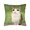 Funny Meowl Cat Owl Pillow Cover Retro Trendy Pillow Case For Living Room Bed Chair Comfy Pillowcases Birthday Gift