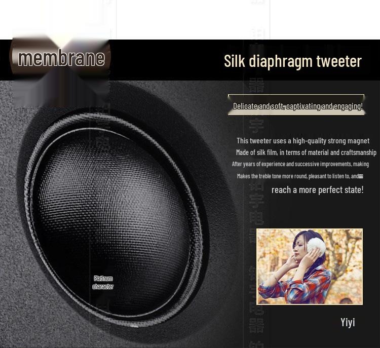 WSEDA New Model 28 Core High Fidelity 6 Ohm Silk Diaphragm Tweeter Unit.