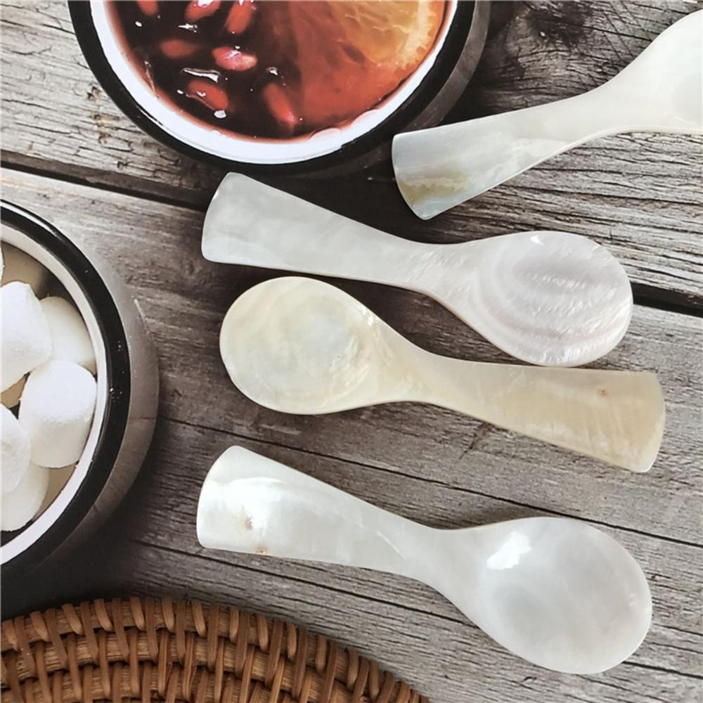 Eiscreme Natürliche Muschel Kaffeelöffel Teelöffel Rührwerkzeug Kaviallöffel
