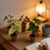 1:12 Dollhouse Miniature Plant Plastic Colorful Taro Green Plant  Miniature Dollhouse Decorations