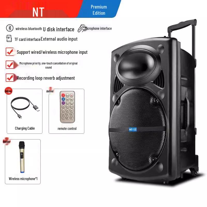 12-Inch Portable Bluetooth Speaker with High Volume for Outdoor Events and Karaoke
