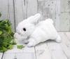 Takeoff Maron the Rex Rabbit Plush Toy, White