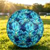 Size 5 FootballSpirited Away Durable PU Soccer Ball for Sports Training Outdoor Competition