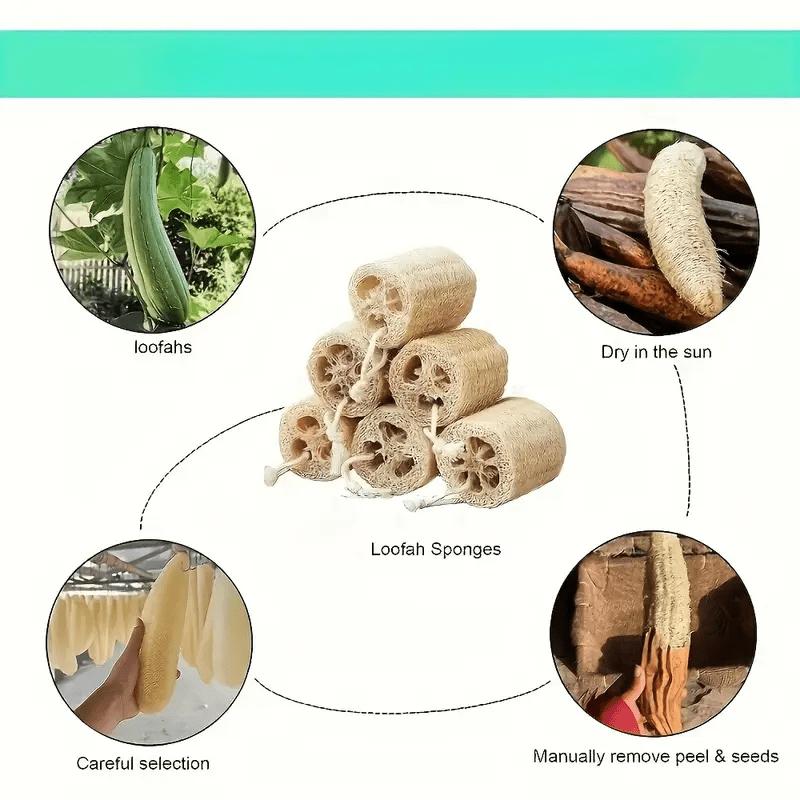4pcs Natural Sponge Set - Non-Toxic, Fragrance-Free, Exfoliating Scrub Pads for Spa, Restaurant, and Daily Use - Ideal for Bathing & Cleaning