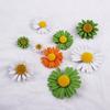 Drip Oil Small Daisy Brooch - Women's Anti-Exposure Corsage Pin Buckle, High-End Clothing Accessory.