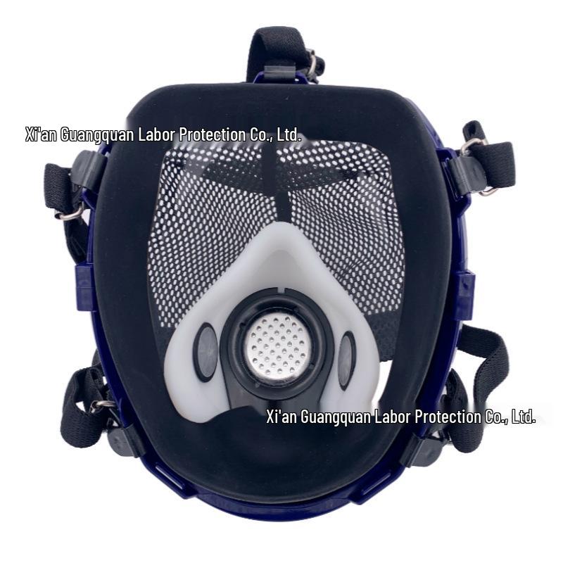 8100 Sphere-D Full Face Respirator Mask for Spray Painting, Chemicals, Pesticides, and Dust, with Wide Field of View