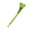 Interactive Self Playing Catnip Molar Stick Cat Chew Toys Teeth Cleaning Bite Squeaky Cat Toy for Indoor Cat Dental Health