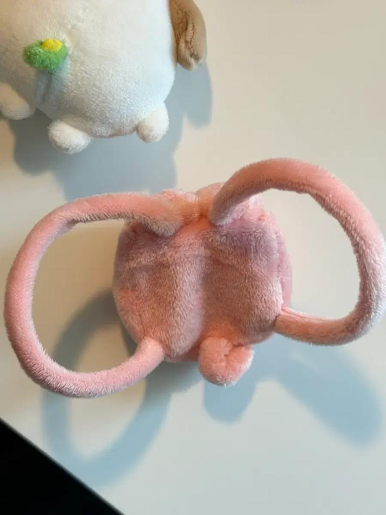 RIIZE Anton Mini Dragon 7cm Dollar Pouch Pig Bag Used