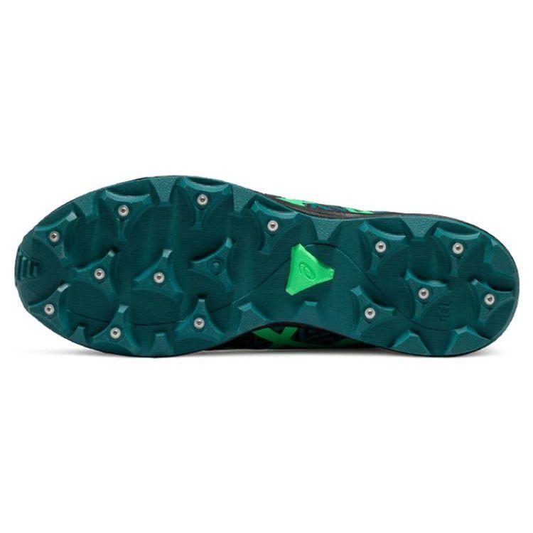 Asics Gel-Fujisetsu 3 GTX Black New Leaf Men Sneakers 1011A972-002