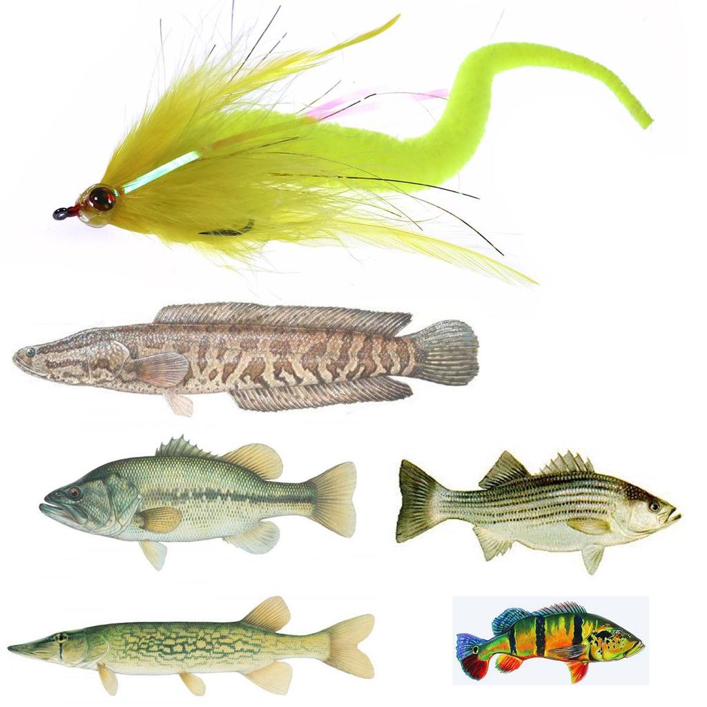 LF196 Dragon Tail Fish Streamer Fly Lure - Artificial Bait Fly Hook for Fly Fishing.