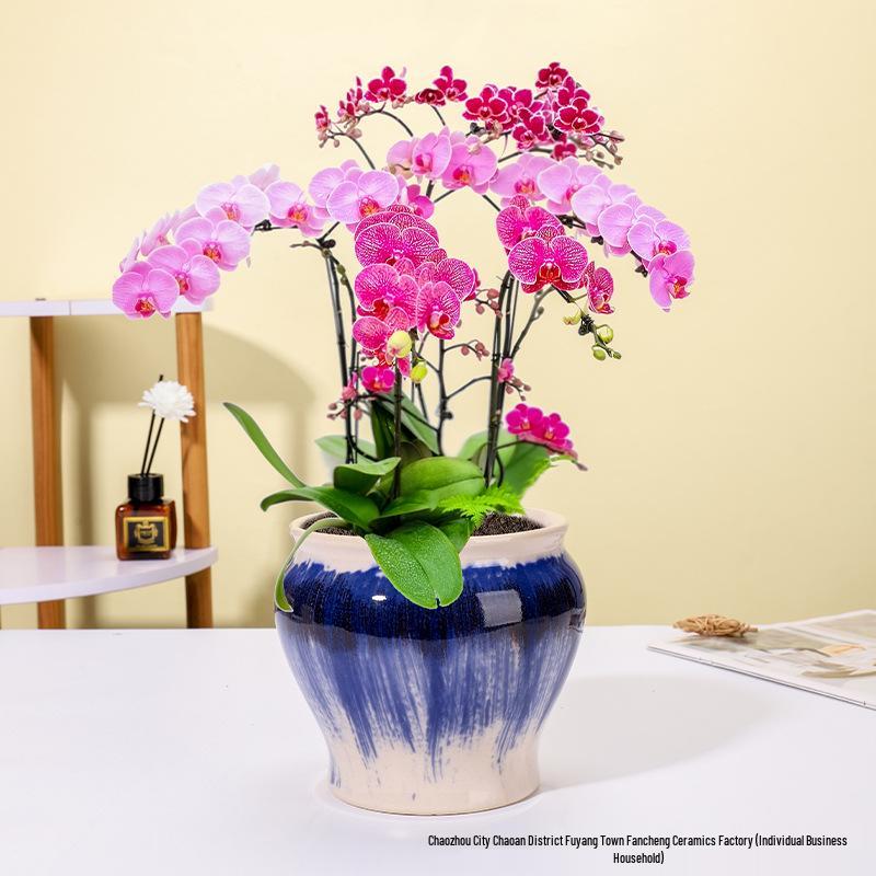 Luxuriöser Keramik-Übertopf im europäischen Stil für Phalaenopsis-Orchideen, für Balkon oder Wohnzimmer