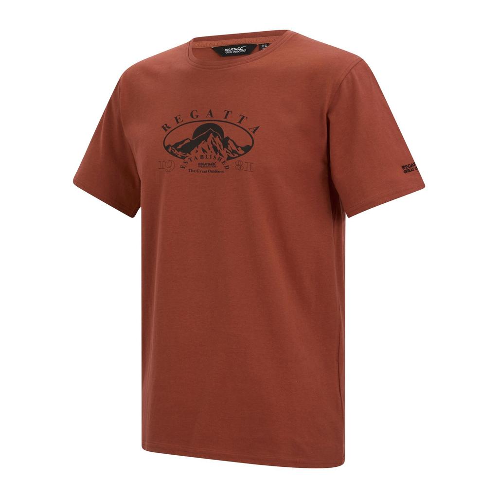 Regatta Mens Cline IX Mountain T-Shirt