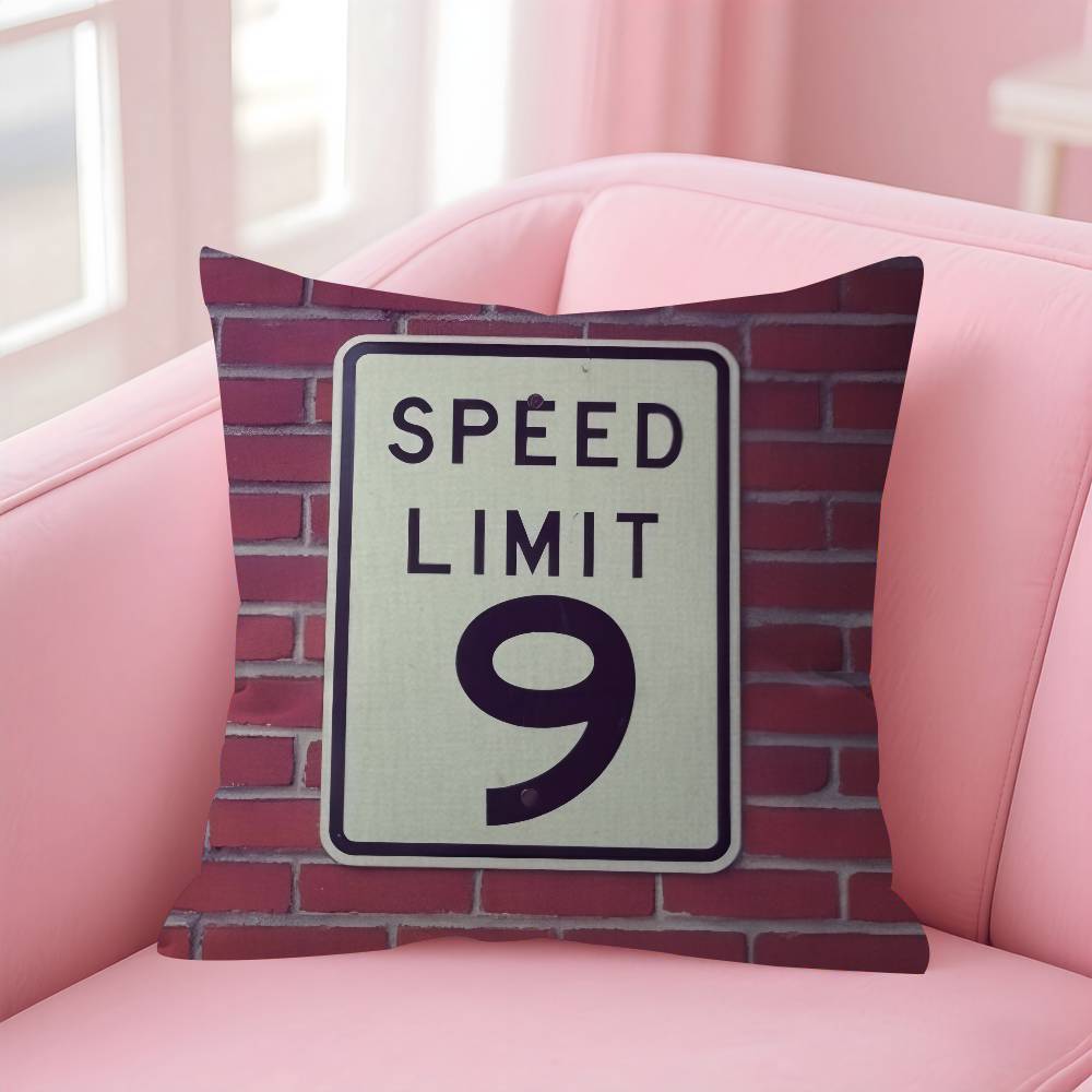 Pillow Covers Cartoon Sofa Decorative Home Doublesided Printing Short Plush Cute Cushion Cover Singer NNine Vicious
