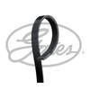 GATES Courroie D'accessoire 4PK613