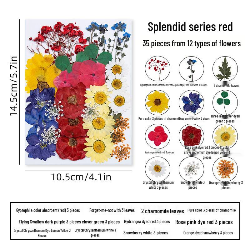 DIY Dried Flower Specimen Sticker Set for Kids: Handmade Pressed Flower Frames & Resin Bookmark Craft Kit