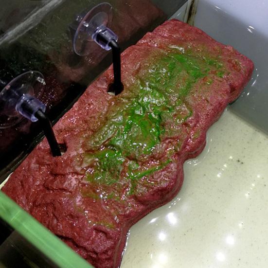 1 Set Tortoise Terrace Floating Island Design Simple Installing Bakelite Amphibian Climbing Platform for Fish Bowl